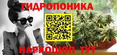 мет Камень-на-Оби