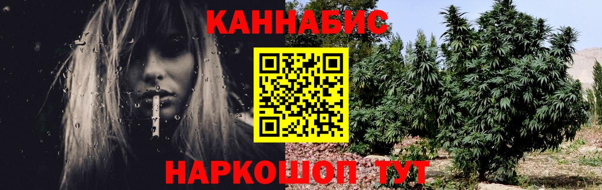 Бошки марихуана ГИДРОПОН Орёл