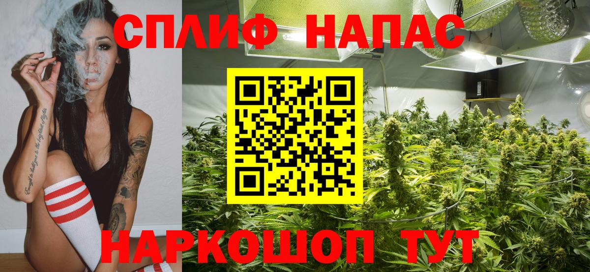Орёл  МАРИХУАНА SATIVA & INDICA  Вход с VPN  Канабис планчик  Канабис индика 